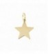 Colgante Estrella Oro de Ley 18 kts Ref : 35-98-SC